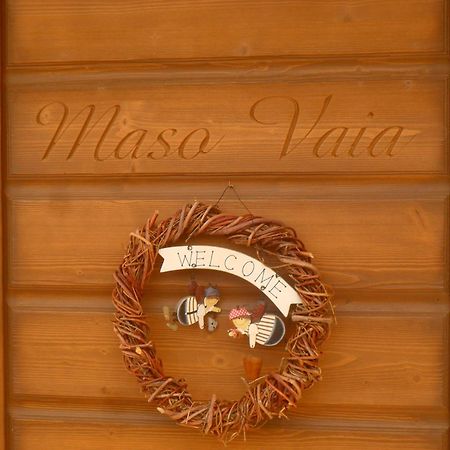 Bed and Breakfast Maso Vaia à Cavalese Extérieur photo