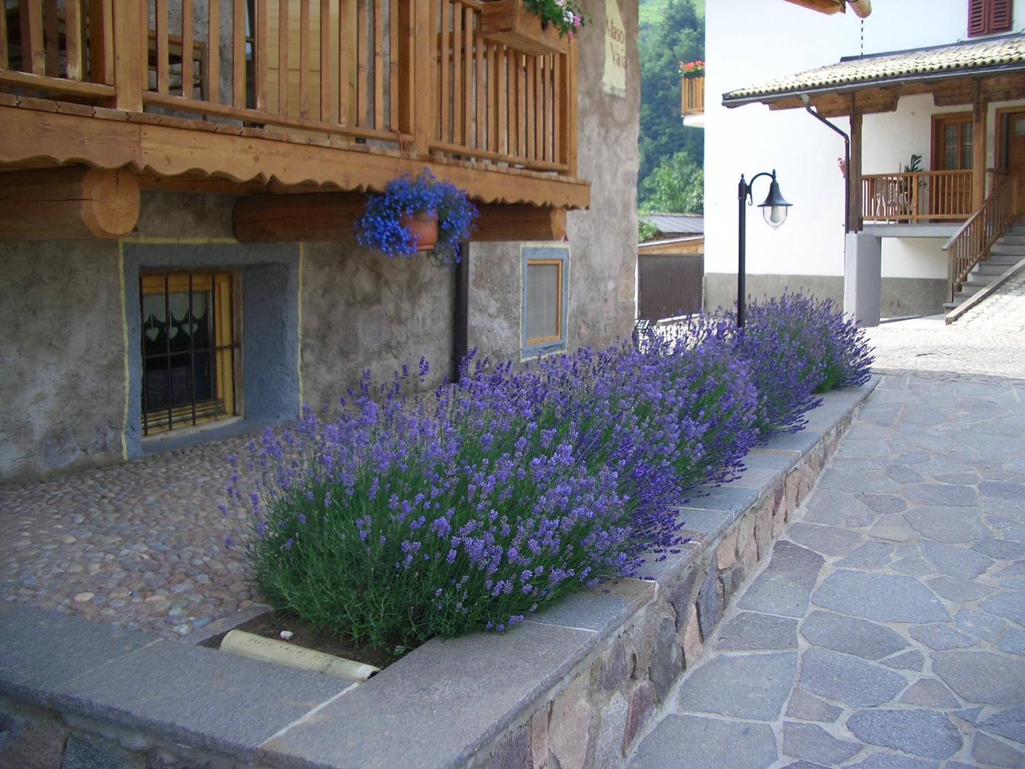 Bed and Breakfast Maso Vaia à Cavalese Extérieur photo